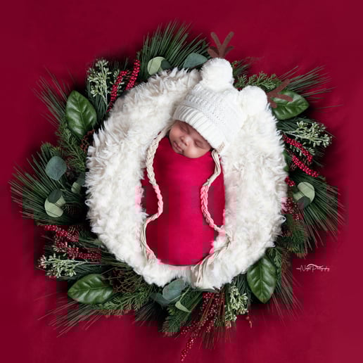 Gallery photo 17 of newNsight Photography