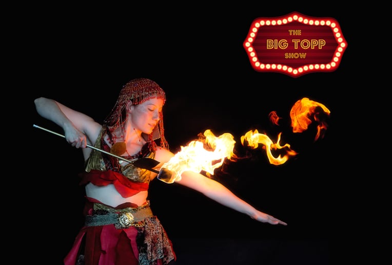 Gallery photo 2 of NZR Circus
