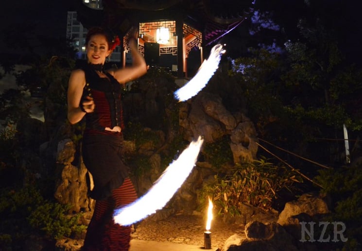 Gallery photo 6 of NZR Circus