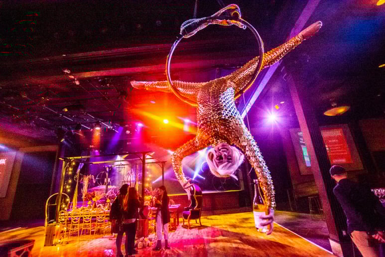 Gallery photo 8 of NZR Circus