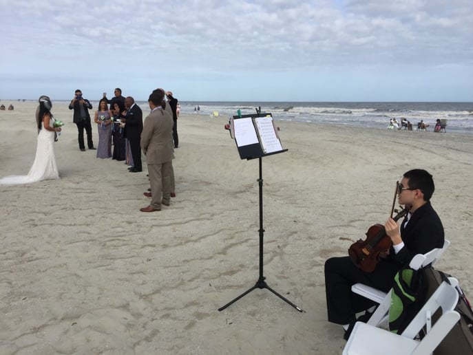 Gallery photo 4 of Ocean violinist