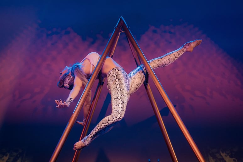 Gallery photo 4 of One of a Kind Pyramid Apparatus