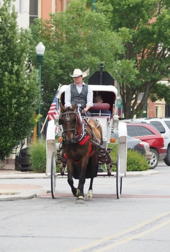 Gallery photo 3 of Orange Sky Carriage Rides LLC