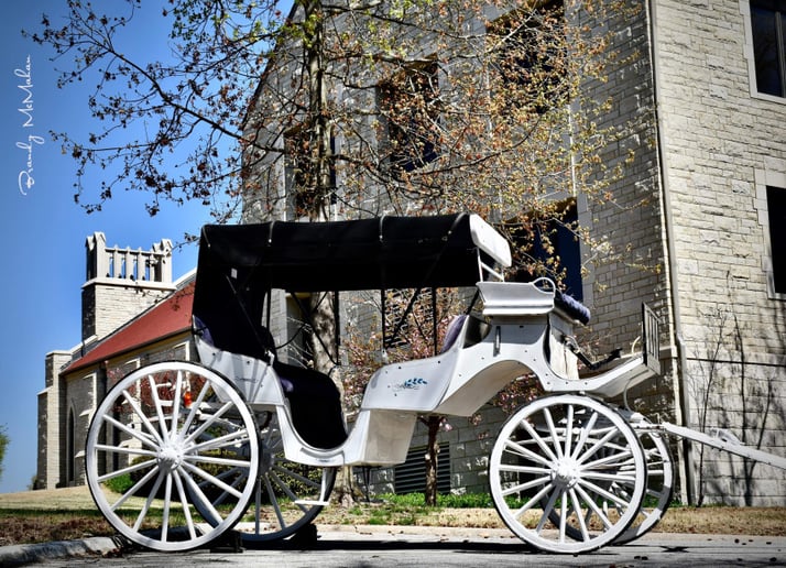 Gallery photo 5 of Orange Sky Carriage Rides LLC