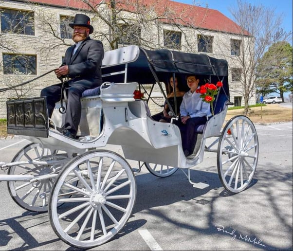 Gallery photo 6 of Orange Sky Carriage Rides LLC