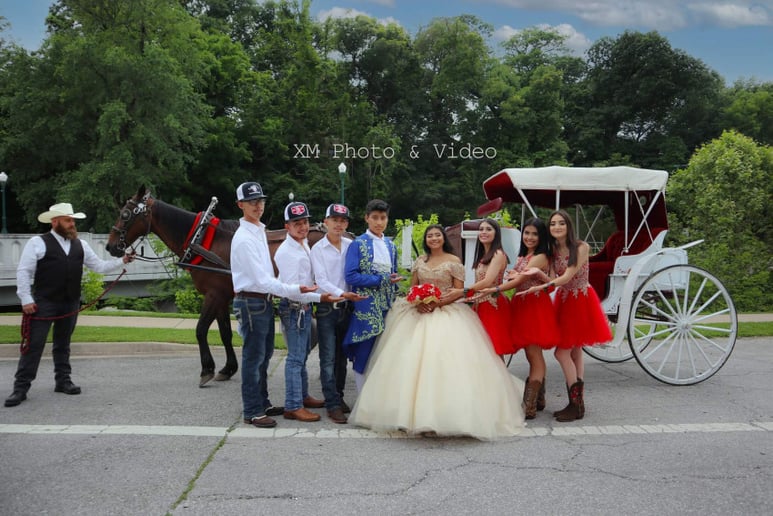 Gallery photo 7 of Orange Sky Carriage Rides LLC