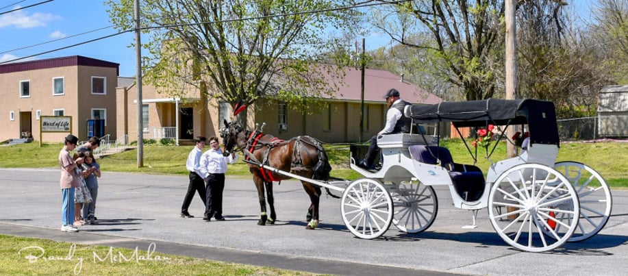 Gallery photo 9 of Orange Sky Carriage Rides LLC