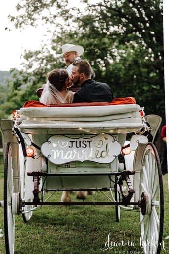 Gallery photo 10 of Orange Sky Carriage Rides LLC