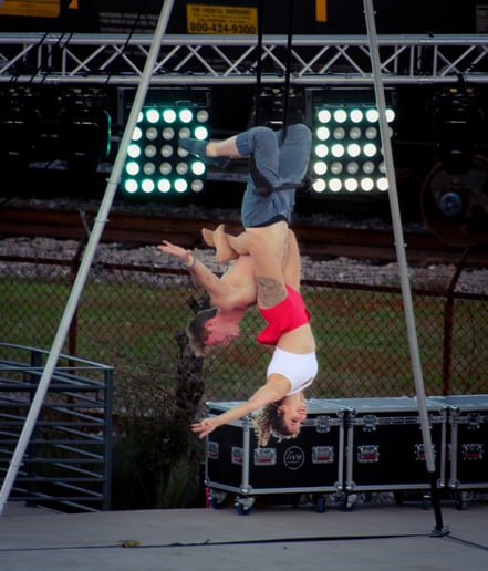 Gallery photo 12 of Out on a Limb