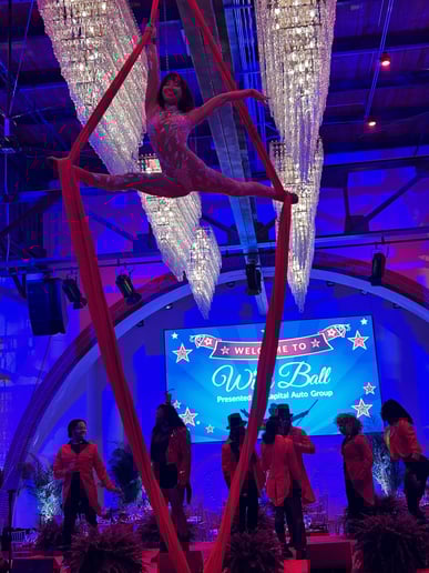 Gallery photo 3 of Out on a Limb