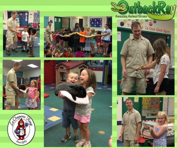 Gallery photo 3 of Outback Ray's Amazing Animal Show