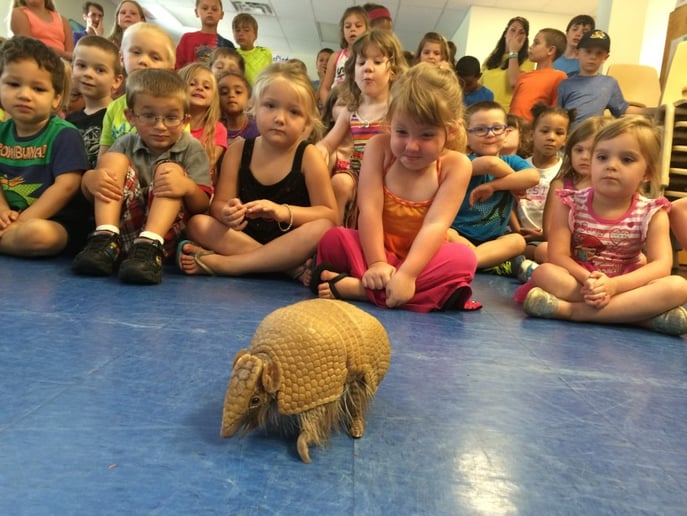 Gallery photo 5 of Outback Ray's Amazing Animal Show