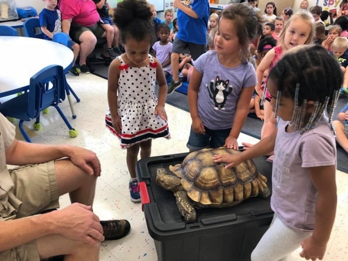 Gallery photo 10 of Outback Ray's Amazing Animal Show