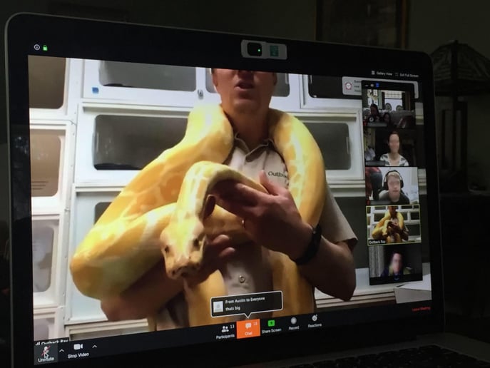 Gallery photo 12 of Outback Ray's Amazing Animal Show