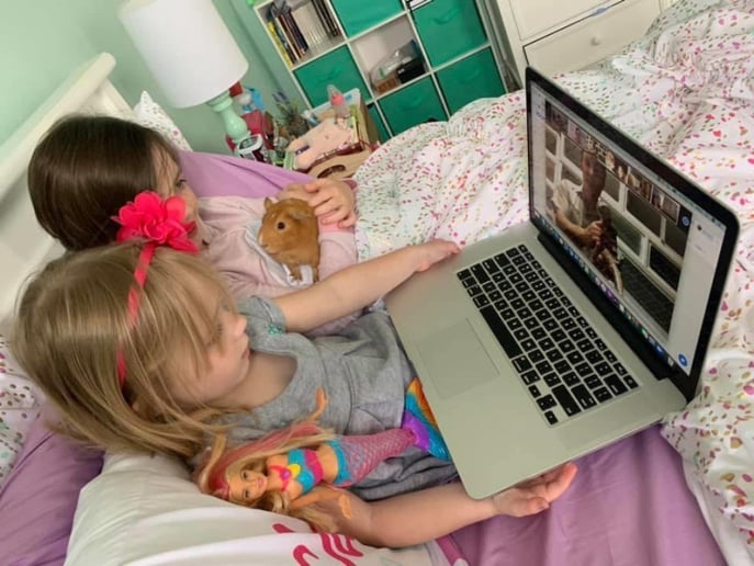 Gallery photo 13 of Outback Ray's Amazing Animal Show