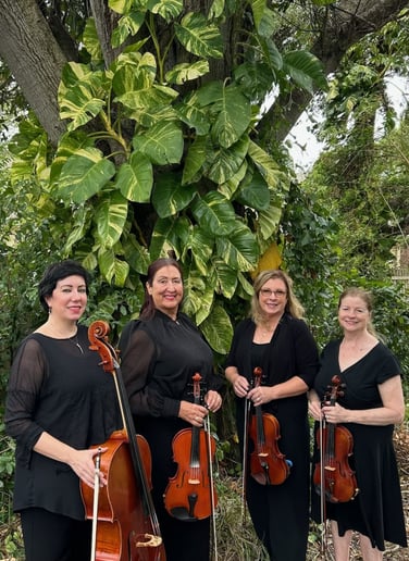 Gallery photo 2 of Paradies Ensemble