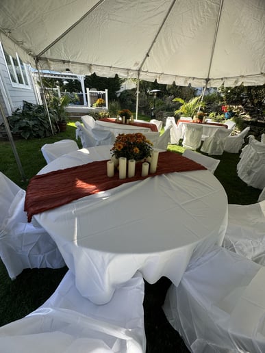 Gallery photo 11 of The Party Savers