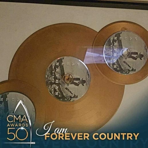 Gallery photo 3 of Paul Nathan Band