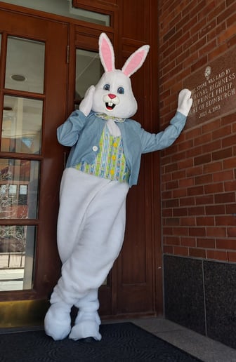 Gallery photo 26 of Picasso Painters