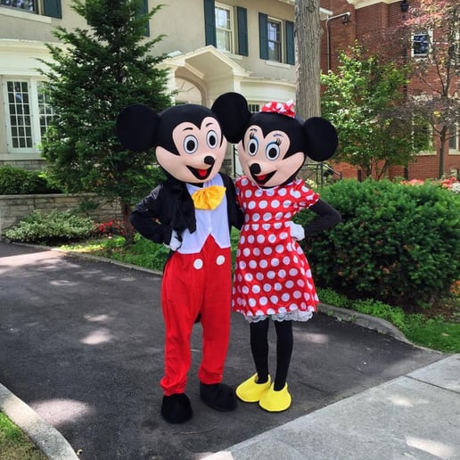 Gallery photo 88 of Picasso Painters