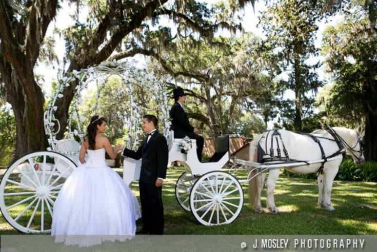 Gallery photo 1 of Pinto Carriage Works, LLC