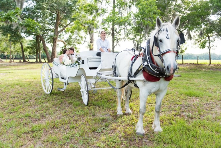 Gallery photo 3 of Pinto Carriage Works, LLC