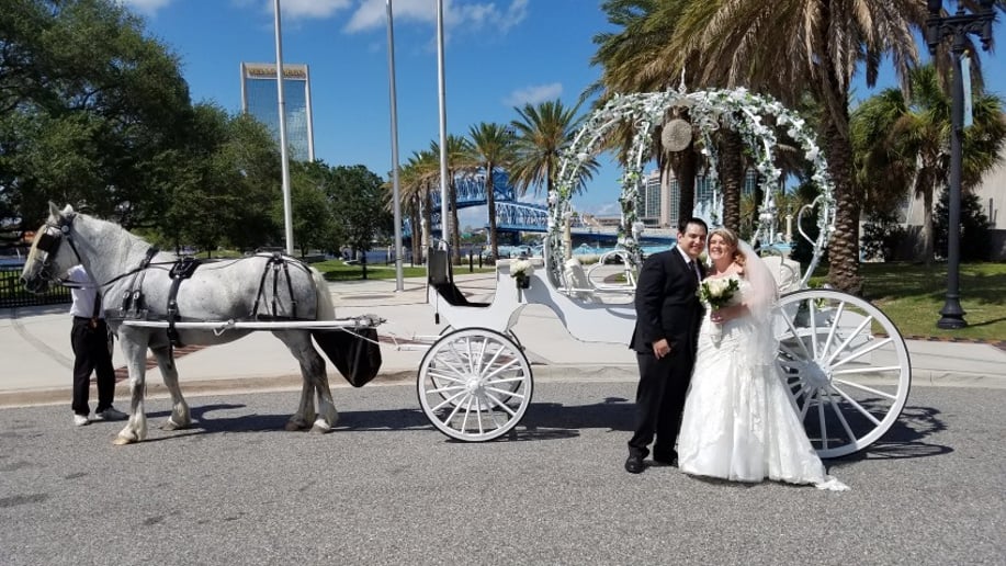 Gallery photo 4 of Pinto Carriage Works, LLC