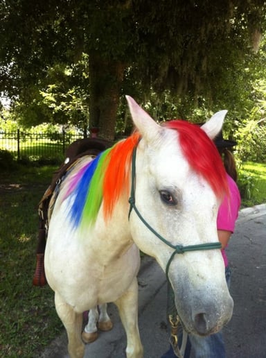 Gallery photo 5 of Pinto Carriage Works, LLC