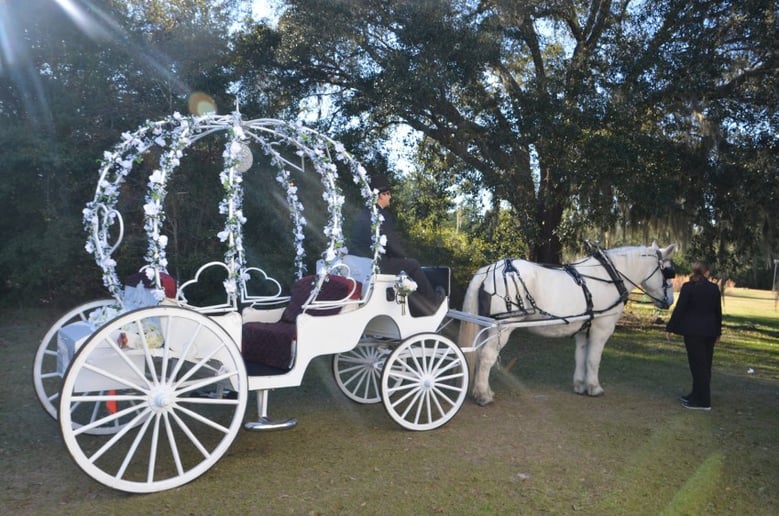 Gallery photo 6 of Pinto Carriage Works, LLC