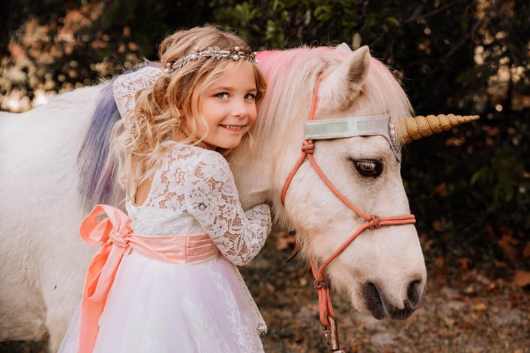 Gallery photo 7 of Pinto Carriage Works, LLC