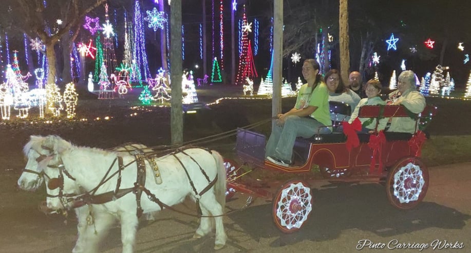 Gallery photo 8 of Pinto Carriage Works, LLC