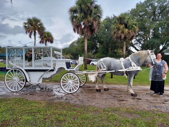 Gallery photo 9 of Pinto Carriage Works, LLC