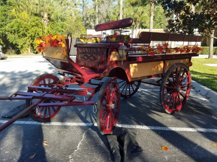 Gallery photo 10 of Pinto Carriage Works, LLC