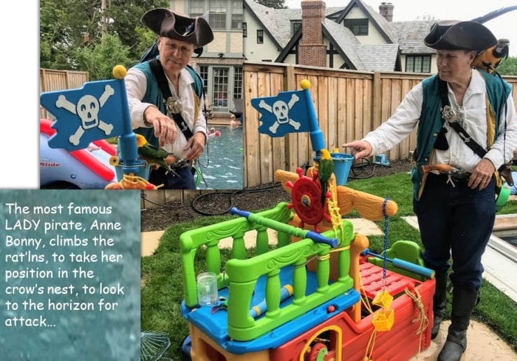 Gallery photo 9 of Pirates And Parrots