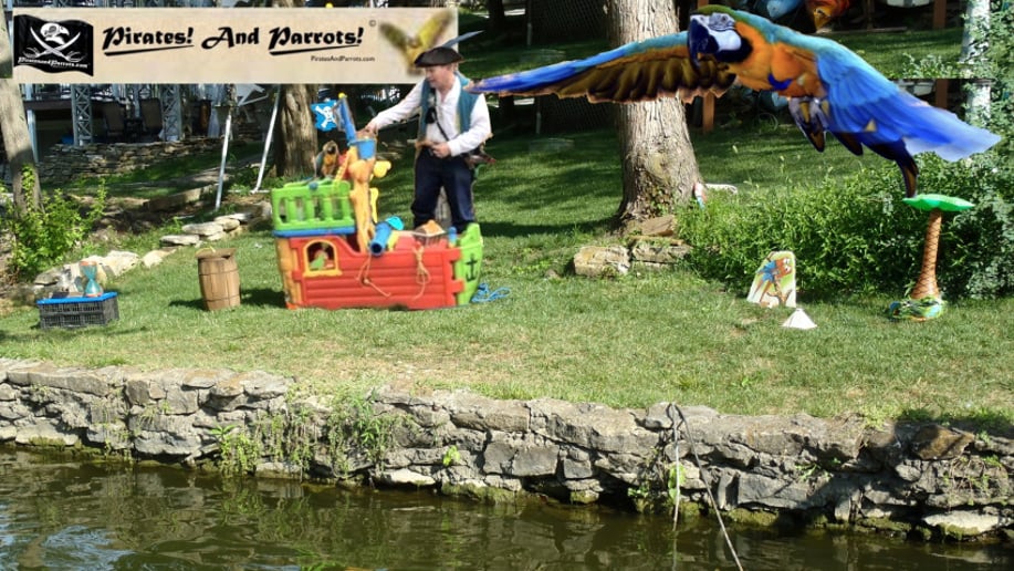 Gallery photo 1 of Pirates And Parrots