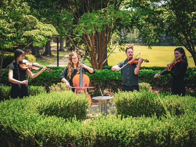 Gallery photo 3 of Madeleine's Musicians - Solo and Ensemble Music for All Occasions