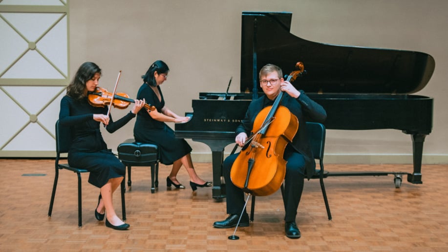 Gallery photo 5 of Madeleine's Musicians - Solo and Ensemble Music for All Occasions