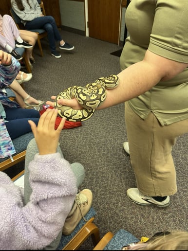 Gallery photo 5 of Savvy Scales