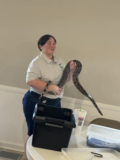 Gallery photo 7 of Savvy Scales