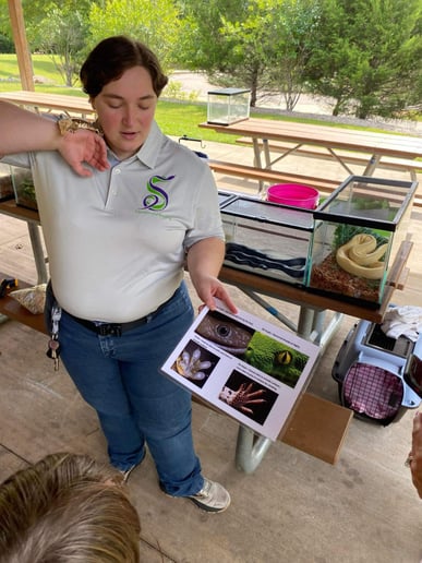 Gallery photo 8 of Savvy Scales