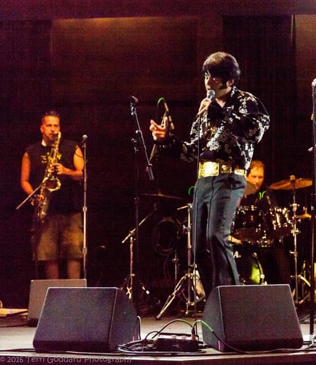 Gallery photo 2 of Robbie Dee's Tribute to Elvis - for hire