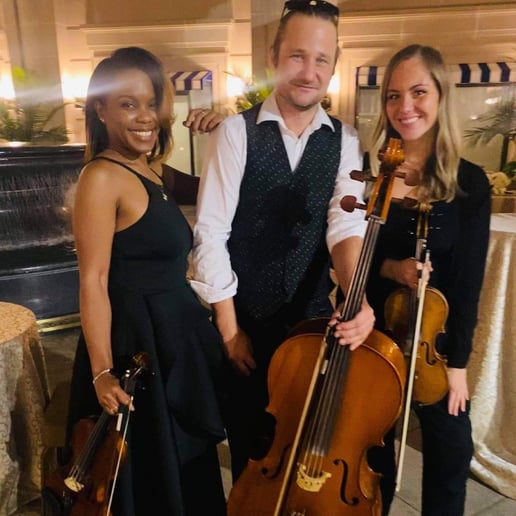 Gallery photo 6 of Rockville Strings