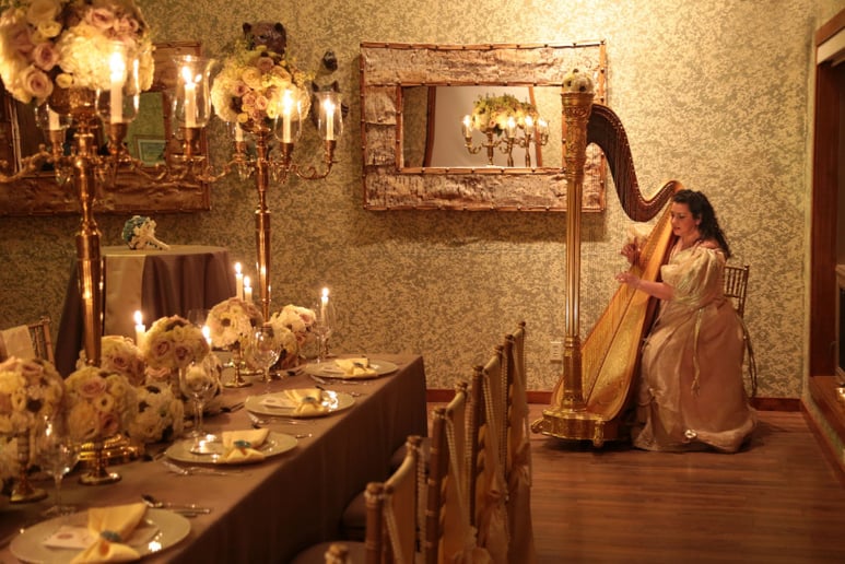 Gallery photo 6 of Romantic, Elegant Ambient Event Harpist
