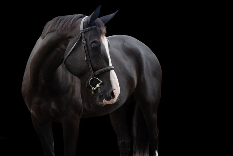 Gallery photo 16 of Samantha Robshaw Photography