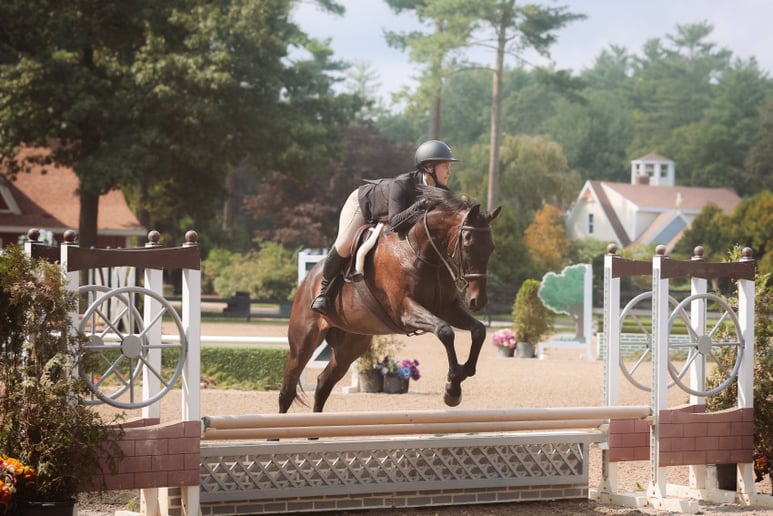 Gallery photo 13 of Samantha Robshaw Photography