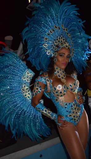 Gallery photo 72 of SamBrazilian