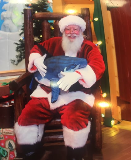 Gallery photo 4 of Santa Chip