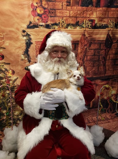 Gallery photo 7 of Santa Claus