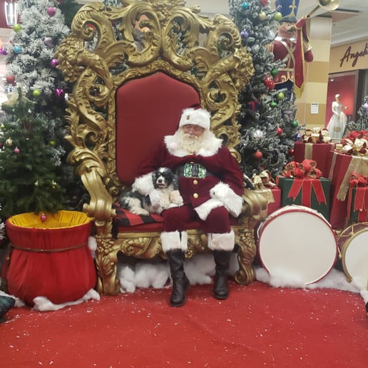 Gallery photo 8 of Santa Claus