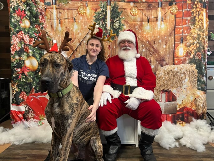 Gallery photo 10 of Santa Claus Fred